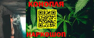 ПСИЛОЦИБИНОВЫЕ ГРИБЫ Гатчина