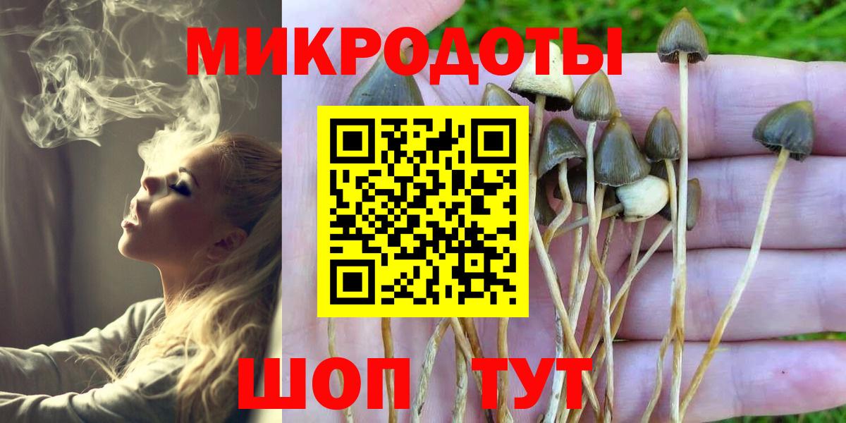 Мурманск  Псилоцибиновые грибы ЛСД  Галлюциногенные грибы ЛСД  Вход с VPN 