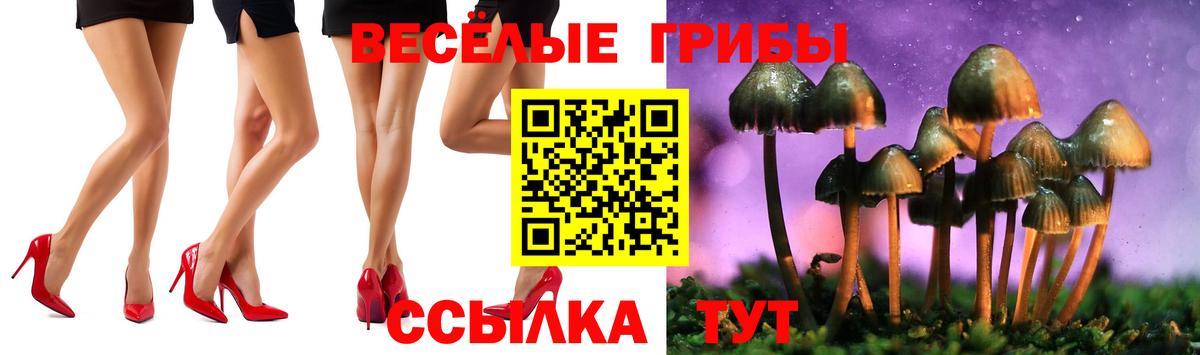 Галлюциногенные грибы мицелий Мурманск